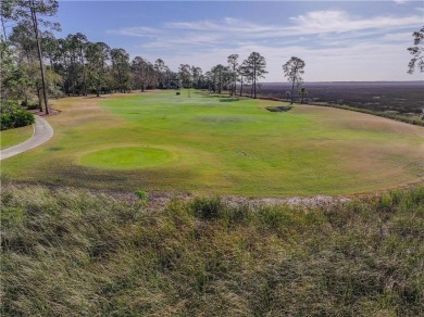 Discover the unmatched beauty of this Southern gem with on The Club At Osprey Cove in Georgia - for sale on GolfHomes.com, golf home, golf lot