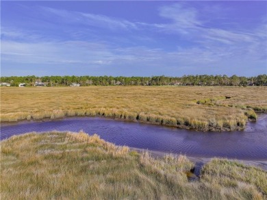 Discover the unmatched beauty of this Southern gem with on The Club At Osprey Cove in Georgia - for sale on GolfHomes.com, golf home, golf lot