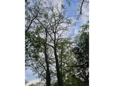 2 Beautiful Treed Lots - Nearly Half an Acre with Electrical - on Sugar Valley Lakes Golf Course in Kansas - for sale on GolfHomes.com, golf home, golf lot