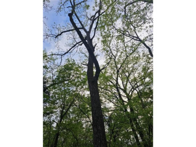 2 Beautiful Treed Lots - Nearly Half an Acre with Electrical - on Sugar Valley Lakes Golf Course in Kansas - for sale on GolfHomes.com, golf home, golf lot