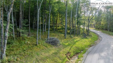 Gorgeous 1.47 acre homesite located in the very popular section on Elk River Club in North Carolina - for sale on GolfHomes.com, golf home, golf lot