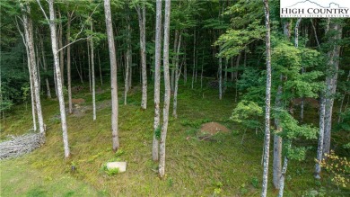 Gorgeous 1.47 acre homesite located in the very popular section on Elk River Club in North Carolina - for sale on GolfHomes.com, golf home, golf lot