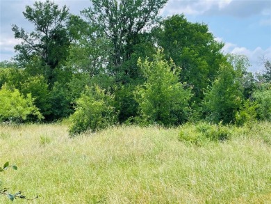 10 GORGEOUS acres with a deep tank, perimeter fences and a on Lakeside Country Club in Texas - for sale on GolfHomes.com, golf home, golf lot
