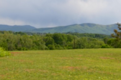 Have you been looking for a buildable lot with those perfect on Nolichucky View Golf Club in Tennessee - for sale on GolfHomes.com, golf home, golf lot
