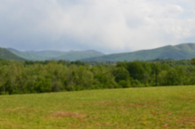 Have you been looking for a buildable lot with those perfect on Nolichucky View Golf Club in Tennessee - for sale on GolfHomes.com, golf home, golf lot