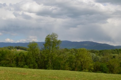 Have you been looking for a buildable lot with those perfect on Nolichucky View Golf Club in Tennessee - for sale on GolfHomes.com, golf home, golf lot