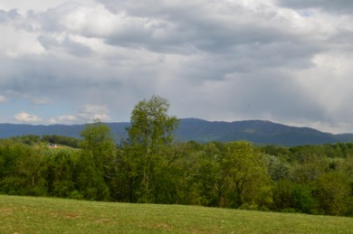 Have you been looking for a buildable lot with those perfect on Nolichucky View Golf Club in Tennessee - for sale on GolfHomes.com, golf home, golf lot