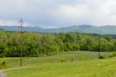 Have you been looking for a buildable lot with those perfect on Nolichucky View Golf Club in Tennessee - for sale on GolfHomes.com, golf home, golf lot