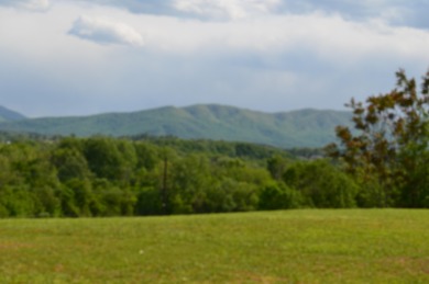 Have you been looking for a buildable lot with those perfect on Nolichucky View Golf Club in Tennessee - for sale on GolfHomes.com, golf home, golf lot