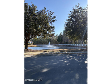 Welcome to your next chapter in **The Farm at Brunswick**-a on Crow Creek Golf Club in North Carolina - for sale on GolfHomes.com, golf home, golf lot