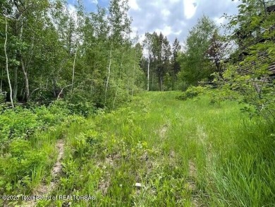 This is a golf side forest cabin lot on Blackfoot Trail on Teton Springs Resort and Club in Idaho - for sale on GolfHomes.com, golf home, golf lot