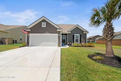 Welcome to your dream home in the sought-after Eagle Run on Crow Creek Golf Club in North Carolina - for sale on GolfHomes.com, golf home, golf lot