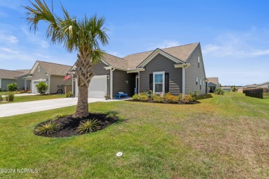 Welcome to your dream home in the sought-after Eagle Run on Crow Creek Golf Club in North Carolina - for sale on GolfHomes.com, golf home, golf lot