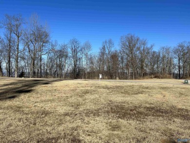 Welcome to your dream home opportunity at the prestigious Ledges on The Ledges Country Club in Alabama - for sale on GolfHomes.com, golf home, golf lot