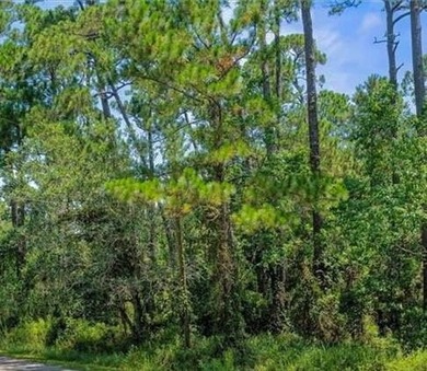 Your dream island escape awaits! Don't miss this rare on Isle Dauphine Club Golf Course in Alabama - for sale on GolfHomes.com, golf home, golf lot