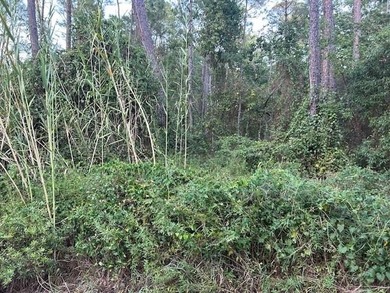 Your dream island escape awaits! Don't miss this rare on Isle Dauphine Club Golf Course in Alabama - for sale on GolfHomes.com, golf home, golf lot