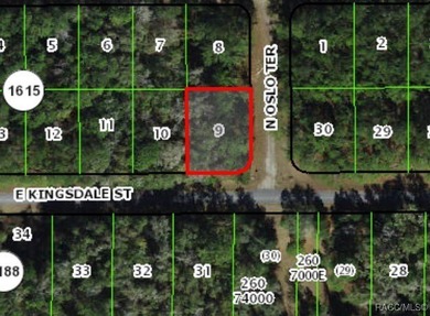 Buildable homesite in Citrus Springs offering an excellent on Citrus Springs Country Club in Florida - for sale on GolfHomes.com, golf home, golf lot