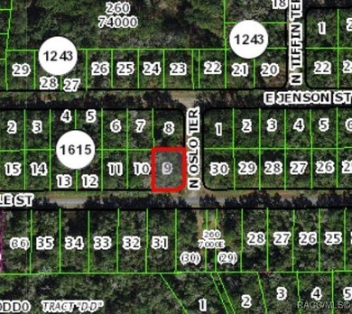 Buildable homesite in Citrus Springs offering an excellent on Citrus Springs Country Club in Florida - for sale on GolfHomes.com, golf home, golf lot