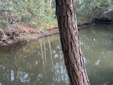 Your dream island escape awaits! Don't miss this rare on Isle Dauphine Club Golf Course in Alabama - for sale on GolfHomes.com, golf home, golf lot