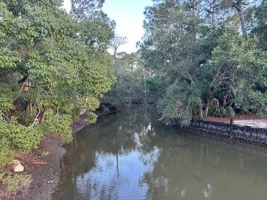 Your dream island escape awaits! Don't miss this rare on Isle Dauphine Club Golf Course in Alabama - for sale on GolfHomes.com, golf home, golf lot