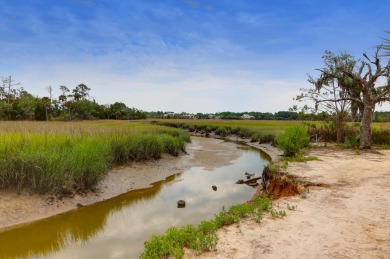 Live the Daniel Island Lifestyle Within Your Budget! **2/1 on Daniel Island Club in South Carolina - for sale on GolfHomes.com, golf home, golf lot