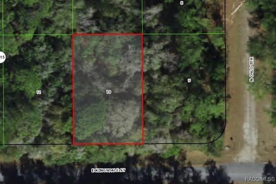 Buildable homesite in Citrus Springs offering an excellent on Citrus Springs Country Club in Florida - for sale on GolfHomes.com, golf home, golf lot