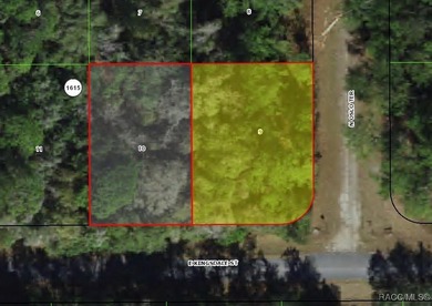 Buildable homesite in Citrus Springs offering an excellent on Citrus Springs Country Club in Florida - for sale on GolfHomes.com, golf home, golf lot