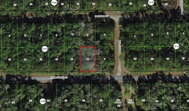 Buildable homesite in Citrus Springs offering an excellent on Citrus Springs Country Club in Florida - for sale on GolfHomes.com, golf home, golf lot