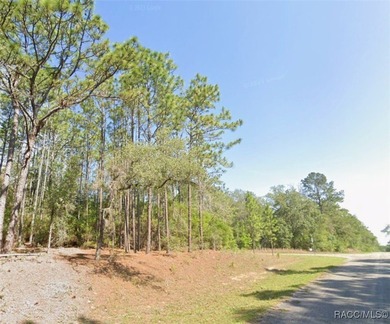 Nice building .34 of an acre lot suitable for a single-family on Citrus Springs Country Club in Florida - for sale on GolfHomes.com, golf home, golf lot