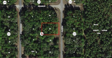 Nice building .34 of an acre lot suitable for a single-family on Citrus Springs Country Club in Florida - for sale on GolfHomes.com, golf home, golf lot