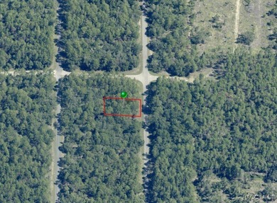 Nice building .34 of an acre lot suitable for a single-family on Citrus Springs Country Club in Florida - for sale on GolfHomes.com, golf home, golf lot