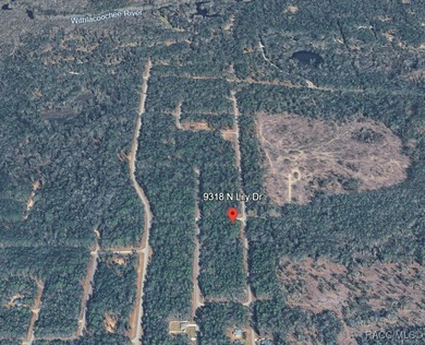 Nice building .34 of an acre lot suitable for a single-family on Citrus Springs Country Club in Florida - for sale on GolfHomes.com, golf home, golf lot