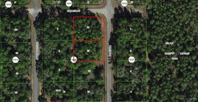 Nice building .34 of an acre lot suitable for a single-family on Citrus Springs Country Club in Florida - for sale on GolfHomes.com, golf home, golf lot