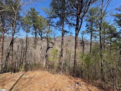 Nestled in the mountains just minutes from Greenville, SC, make on The Cliffs Valley Golf Course in South Carolina - for sale on GolfHomes.com, golf home, golf lot