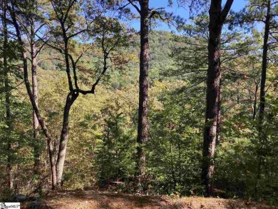 Nestled in the mountains just minutes from Greenville, SC, make on The Cliffs Valley Golf Course in South Carolina - for sale on GolfHomes.com, golf home, golf lot