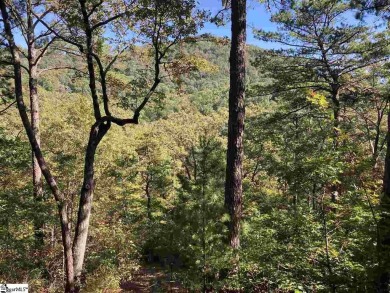Nestled in the mountains just minutes from Greenville, SC, make on The Cliffs Valley Golf Course in South Carolina - for sale on GolfHomes.com, golf home, golf lot