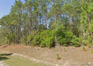 Nice .39-acre building lot suitable for a single-family home in on Citrus Springs Country Club in Florida - for sale on GolfHomes.com, golf home, golf lot