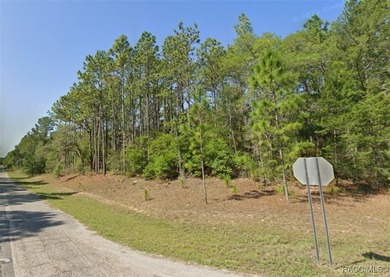 Nice .39-acre building lot suitable for a single-family home in on Citrus Springs Country Club in Florida - for sale on GolfHomes.com, golf home, golf lot