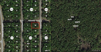 Nice .39-acre building lot suitable for a single-family home in on Citrus Springs Country Club in Florida - for sale on GolfHomes.com, golf home, golf lot