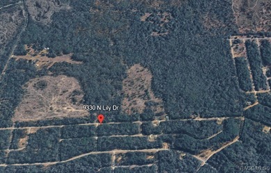 Nice .39-acre building lot suitable for a single-family home in on Citrus Springs Country Club in Florida - for sale on GolfHomes.com, golf home, golf lot