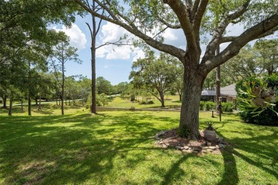 Wow, Black Diamond Ranch under 300K! Phenomenal house located in on Black Diamond Ranch Golf Course in Florida - for sale on GolfHomes.com, golf home, golf lot