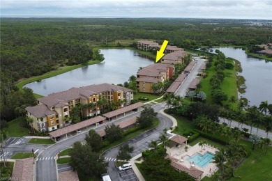 Discover the ultimate blend of elegance, leisure, and on TPC At Treviso Bay in Florida - for sale on GolfHomes.com, golf home, golf lot
