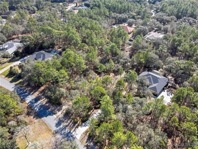 Beautiful 1-acre lot located in Citrus Hills, Fairview Estates on Twisted Oaks Golf Club in Florida - for sale on GolfHomes.com, golf home, golf lot