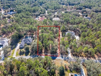 Beautiful 1-acre lot located in Citrus Hills, Fairview Estates on Twisted Oaks Golf Club in Florida - for sale on GolfHomes.com, golf home, golf lot