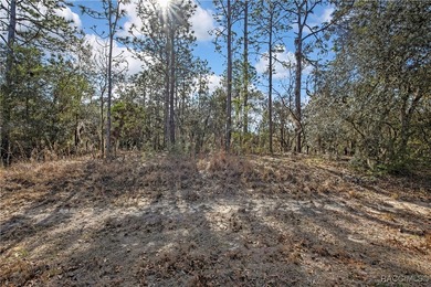 Beautiful 1-acre lot located in Citrus Hills, Fairview Estates on Twisted Oaks Golf Club in Florida - for sale on GolfHomes.com, golf home, golf lot