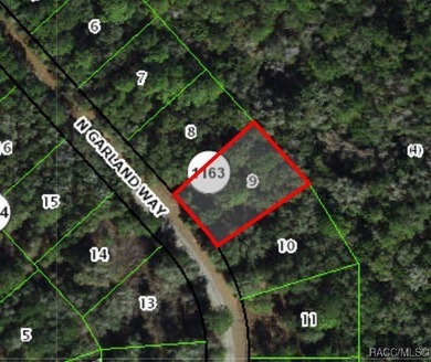Buildable homesite in Citrus Springs offering an excellent on Citrus Springs Country Club in Florida - for sale on GolfHomes.com, golf home, golf lot