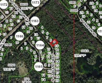 Buildable homesite in Citrus Springs offering an excellent on Citrus Springs Country Club in Florida - for sale on GolfHomes.com, golf home, golf lot