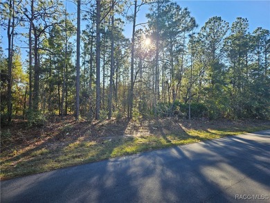 23 acre lot/homesite 80 by 126 feet that is ready to build your on Citrus Springs Country Club in Florida - for sale on GolfHomes.com, golf home, golf lot