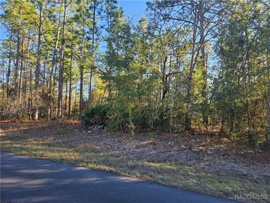 23 acre lot/homesite 80 by 126 feet that is ready to build your on Citrus Springs Country Club in Florida - for sale on GolfHomes.com, golf home, golf lot