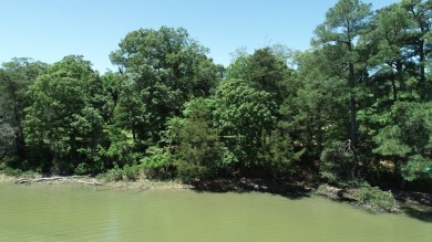 Exquisite Bay Creek building lot in the vaunted Plantation on Bay Creek Golf Club in Virginia - for sale on GolfHomes.com, golf home, golf lot